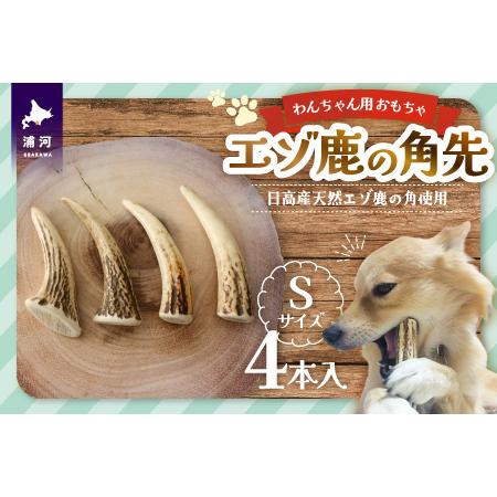 ふるさと納税 エゾ鹿の角先 Sサイズ×4本セット(1本物)[54-1363] 北海道浦河町