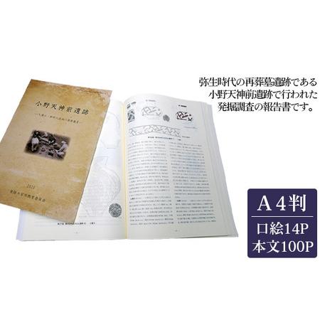 ふるさと納税 No.824 小野天神前遺跡　1冊 茨城県常陸大宮市