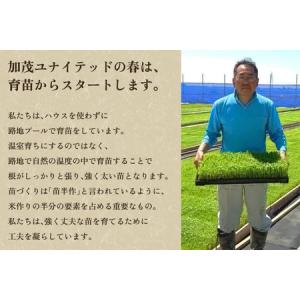 ふるさと納税 【令和8年産新米先行予約】【6ヶ...の詳細画像1