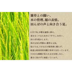 ふるさと納税 【令和8年産新米先行予約】【6ヶ...の詳細画像2