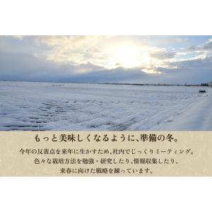 ふるさと納税 【令和8年産新米先行予約】【6ヶ...の詳細画像4