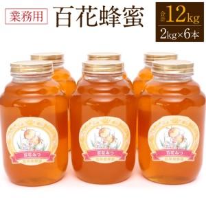 ふるさと納税 八代市 はちみつ 業務用 百花蜂蜜 2kgビン×6本 セット 計12kg 熊本県八代市