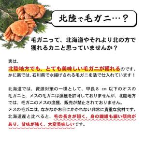 ふるさと納税 【訳あり】蟹好き集まれ!選べる北...の詳細画像1