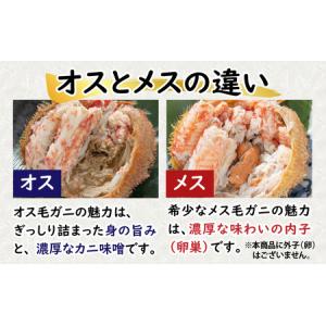 ふるさと納税 【訳あり】蟹好き集まれ!選べる北...の詳細画像4