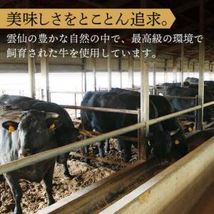 ふるさと納税 【全12回定期便】長崎和牛 ステ...の詳細画像3