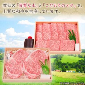 ふるさと納税 【全12回定期便】長崎和牛 ステ...の詳細画像4