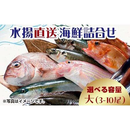 ふるさと納税 中泊水揚直送 海鮮詰合せ 大 （3〜10尾程度） ※下処理済み 【徐福の里物産品直売所...