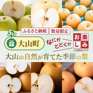 ふるさと納税 【先行予約】DS-26　大山の自然が育てた季節の梨 5kg 鳥取県大山町