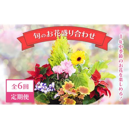 ふるさと納税 【全6回定期便】1年中季節のお花が楽しめる！旬のお花盛り合わせ（2か月に1回お届け）　...