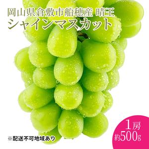 ふるさと納税 ぶどう 2024年 先行予約 シャインマスカット 晴王 1房 約500g 岡山県産 葡...