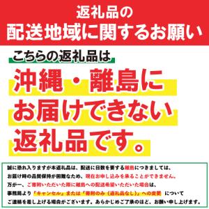 ふるさと納税 南部鉄器 ティーポット刷毛目0....の詳細画像4