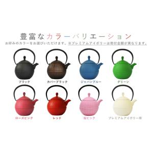 ふるさと納税 南部鉄器 ティーポット胡桃0.5...の詳細画像3