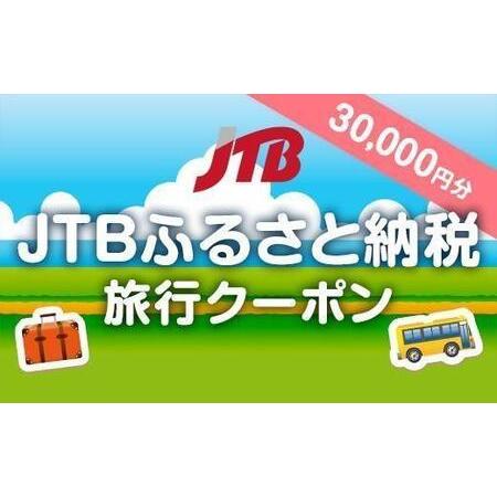 ふるさと納税 【堺市】JTBふるさと納税旅行クーポン（30,000円分） 大阪府堺市