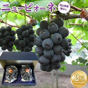 ふるさと納税 ぶどう 2026年 ニュー ピオーネ 2房（1房500g前後） 産地直送 ぶどう ピオーネ 岡山県岡山市