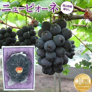 ふるさと納税 ぶどう 2026年 ニュー ピオーネ 1房（1房約600g前後）産地直送 ぶどう ピオーネ 岡山県岡山市
