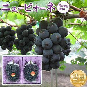 ふるさと納税 ぶどう 2026年 ニュー ピオーネ 2房（1房約650g前後）産地直送 ぶどう ピオーネ 岡山県岡山市