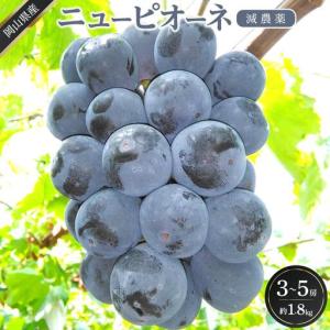 ふるさと納税 ぶどう 2026年 ニュー ピオーネ 約1.8kg 3〜5房 減農薬 栽培 ピオーネ 葡萄 岡山県産 国産 フルーツ 果物 ギフト ばんの農園 岡山県岡山市