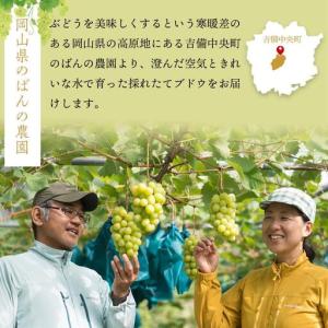 ふるさと納税 ぶどう 2026年 ニュー ピオ...の詳細画像1