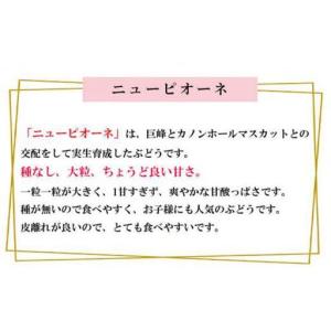 ふるさと納税 ニュー ピオーネ 約500g×2...の詳細画像2