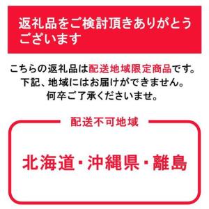 ふるさと納税 ニュー ピオーネ 約500g×2...の詳細画像3