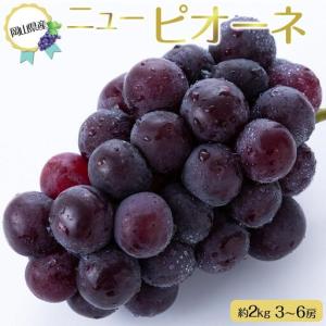 ふるさと納税 ニュー　ピオーネ 約2kg 3〜6房 ｜ ピオーネ 岡山県岡山市