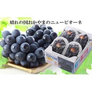 ふるさと納税 ニュー ピオーネ 約2kg 3〜...の詳細画像2