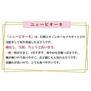 ふるさと納税 ニュー ピオーネ 約2kg 3〜...の詳細画像3