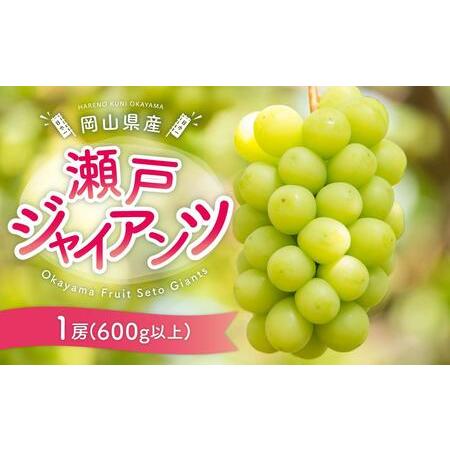 ふるさと納税 ぶどう［2024年先行予約］瀬戸ジャイアンツ 1房（600g以上）岡山県産 [No.5...