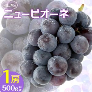 ふるさと納税 ぶどう 2026年 ニュー ピオーネ 1房 500g前後 ブドウ 葡萄 岡山県産 国産 フルーツ 果物 ギフト 岡山県岡山市