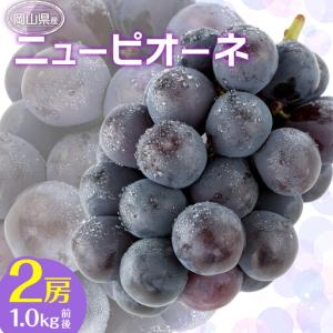 ふるさと納税 ぶどう 2026年 ニュー ピオーネ 2房 合計1.0kg前後 ブドウ 葡萄 岡山県産 国産 フルーツ 果物 ギフト 岡山県岡山市