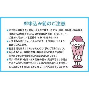 ふるさと納税 特選 ニュー ピオーネ 1房 約...の詳細画像2