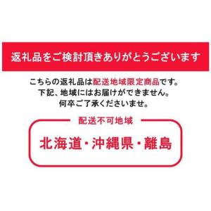 ふるさと納税 特選 ニュー ピオーネ 1房 約...の詳細画像1