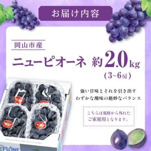 ふるさと納税 ご家庭用 ニュー ピオーネ 3〜...の詳細画像1
