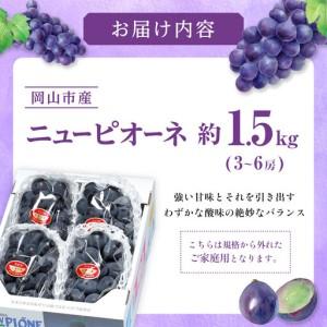 ふるさと納税 ご家庭用 ニュー ピオーネ 3〜...の詳細画像1