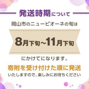ふるさと納税 ご家庭用 ニュー ピオーネ 3〜...の詳細画像2