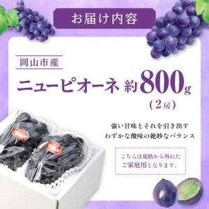 ふるさと納税 ご家庭用 ニュー ピオーネ 約4...の詳細画像1
