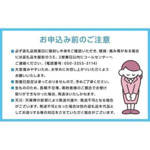 ふるさと納税 ご家庭用 ニュー ピオーネ 約4...の詳細画像4