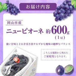 ふるさと納税 ご家庭用 ニュー ピオーネ 約6...の詳細画像1