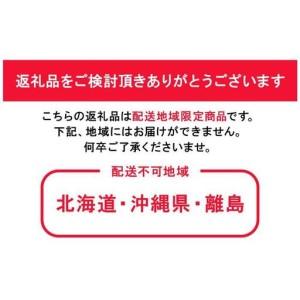 ふるさと納税 ご家庭用 ニュー ピオーネ 約6...の詳細画像3