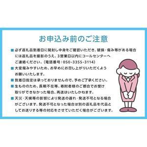 ふるさと納税 ニュー ピオーネ 3房〜6房 約...の詳細画像4