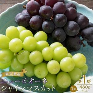 ふるさと納税 ぶどう 2026年 ニュー ピオーネ 1房（480g以上） シャインマスカット 1房（480g以上）ぶどう 葡萄 シャインマスカット 国産 フル.. 岡山県岡山市