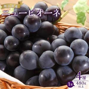 ふるさと納税 ぶどう 2026年 ニュー ピオーネ 4房（1房480g以上）約2kg ピオーネ 葡萄 岡山県産 国産 フルーツ 果物 ギフト 岡山県岡山市