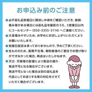 ふるさと納税 ぶどう 2026年 ニュー ピオ...の詳細画像2