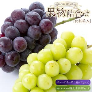 ふるさと納税 ぶどう 2026年 果物 詰合せ ニュー ピオーネ 1房（1房470g以上）シャイン マスカット 晴王 1房（1房470g以上） 化粧箱入り 岡山県.. 岡山県岡山市