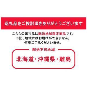 ふるさと納税 ぶどう 2026年 果物 詰合せ...の詳細画像2