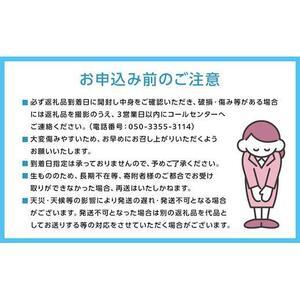 ふるさと納税 ぶどう 2026年 果物 詰合せ...の詳細画像3