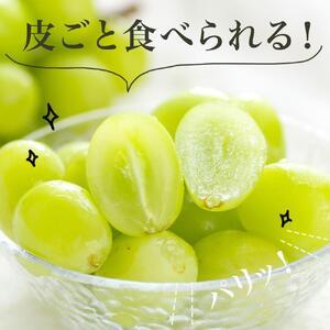 ふるさと納税 詰合せ ニュー ピオーネ 1房4...の詳細画像1