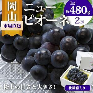 ふるさと納税 ニュー ピオーネ 2房（1房480g以上）約1kg 化粧箱入り ｜ ピオーネ 岡山県岡山市