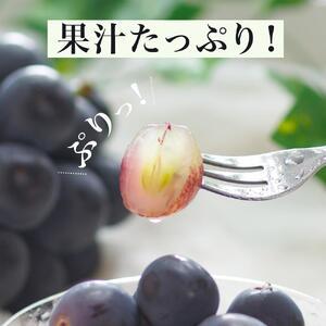 ふるさと納税 ニュー ピオーネ 2房(1房48...の詳細画像1