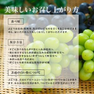 ふるさと納税 ニュー ピオーネ 2房(1房48...の詳細画像3